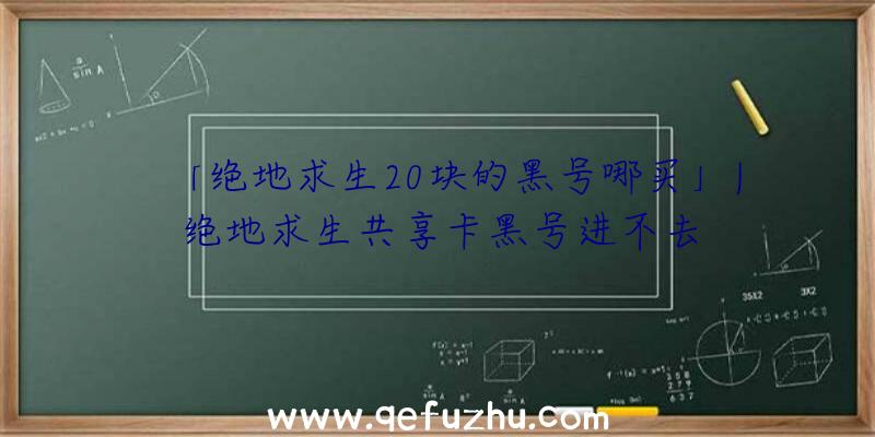 「绝地求生20块的黑号哪买」|绝地求生共享卡黑号进不去